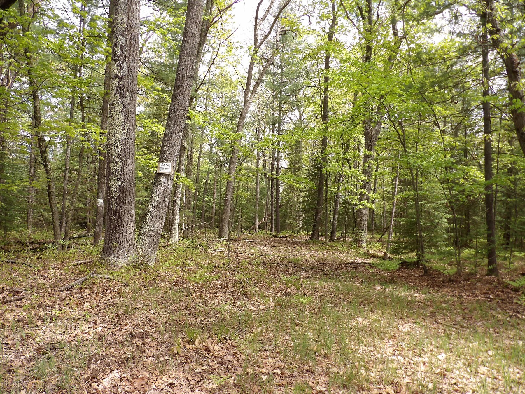 12.2 Acres of Land for Sale in St. Helen, Michigan