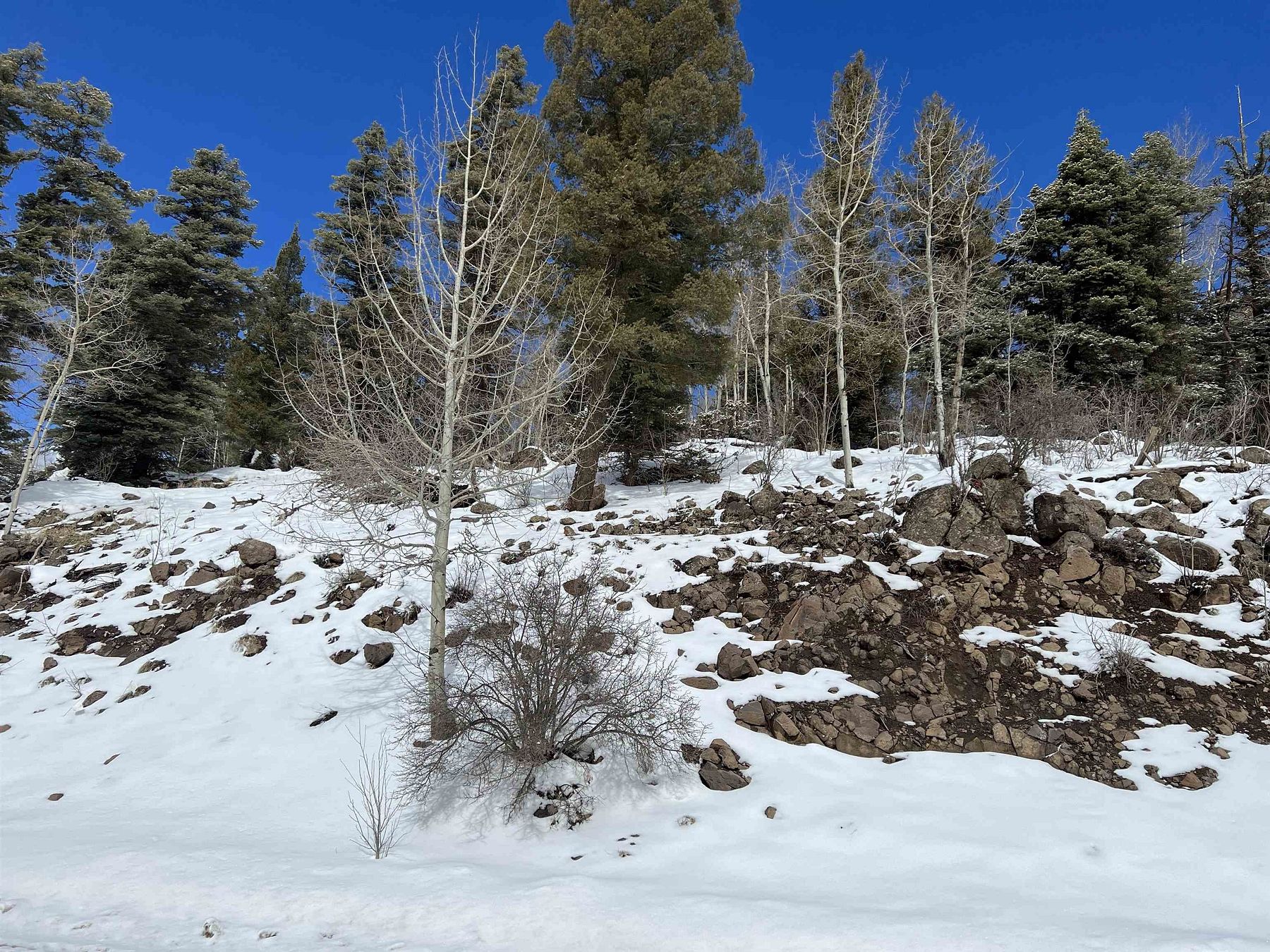 0.76 Acres of Residential Land for Sale in Angel Fire, New Mexico