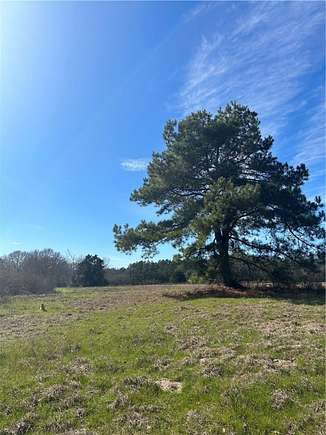 20.4 Acres of Recreational Land for Sale in Grapeland, Texas