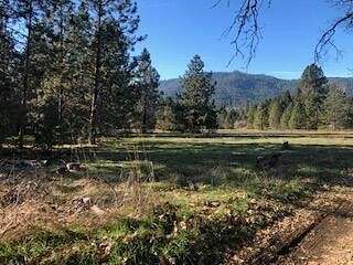 32.7 Acres of Agricultural Land for Sale in Rogue River, Oregon