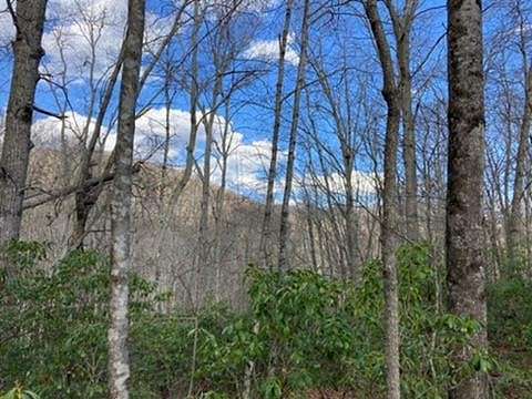 16.6 Acres of Land for Sale in Tuckasegee, North Carolina