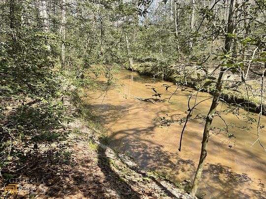 104 Acres of Recreational Land & Farm for Sale in Dewy Rose, Georgia