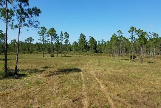 25 Acres of Agricultural Land for Sale in New Smyrna Beach, Florida