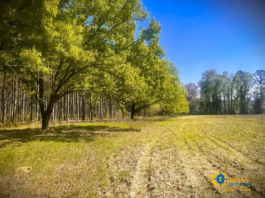 250 Acres of Recreational Land for Sale in Colleton, South Carolina