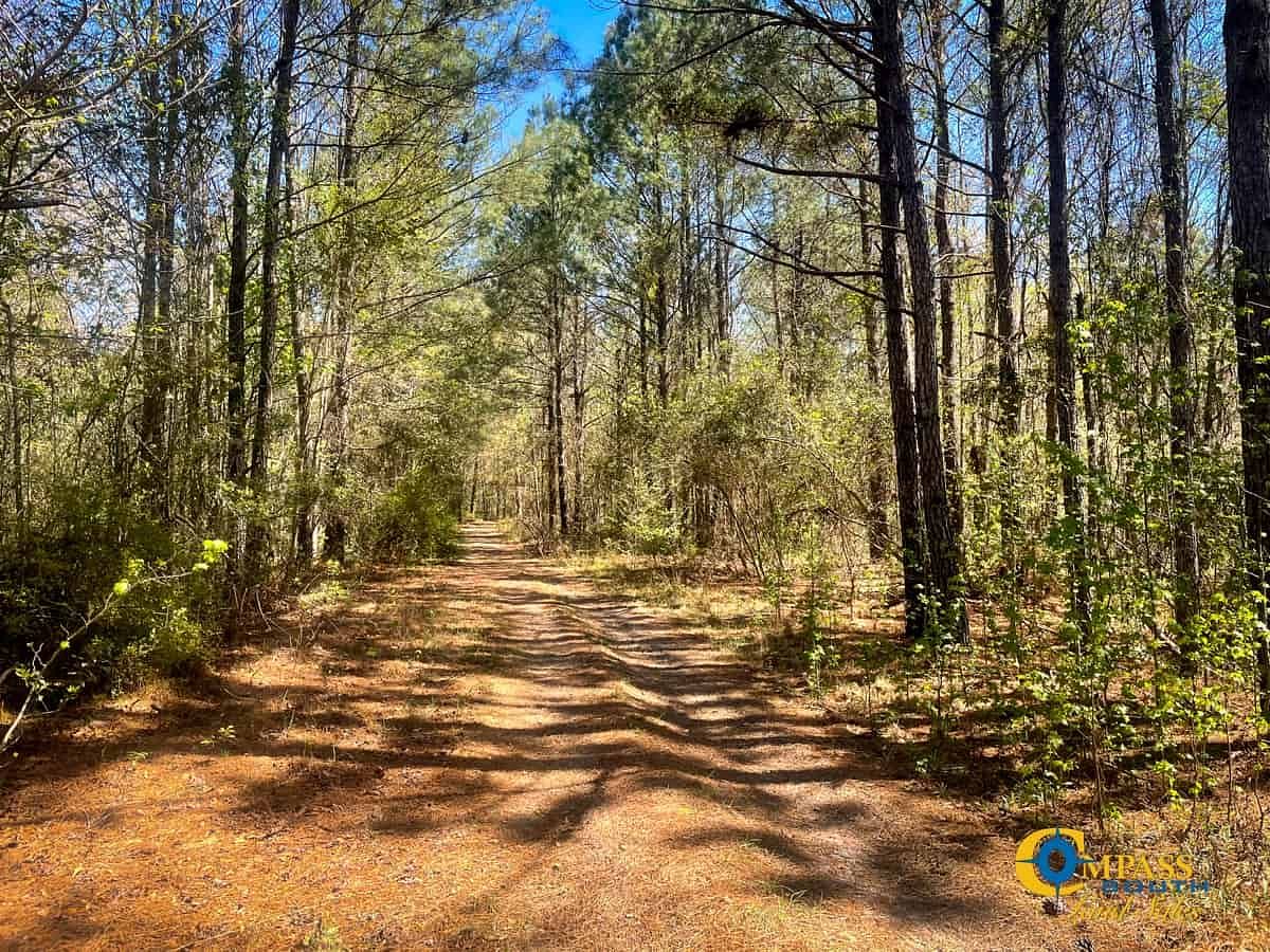 330 Acres of Recreational Land for Sale in Colleton, South Carolina