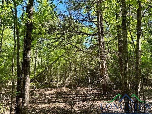 2 Acres of Land for Sale in Gladewater, Texas