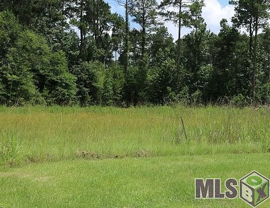 0.08 Acres of Residential Land for Sale in Livingston, Louisiana