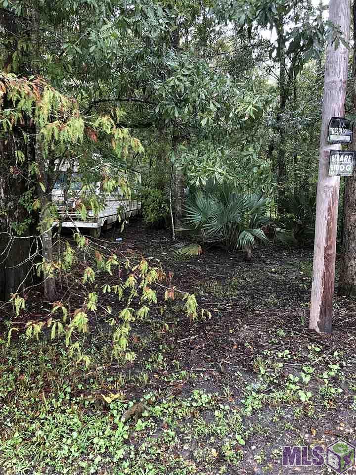 Land for Sale in Saint Amant, Louisiana