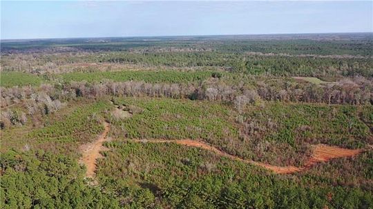 377 Acres of Recreational Land for Sale in Kentwood, Louisiana