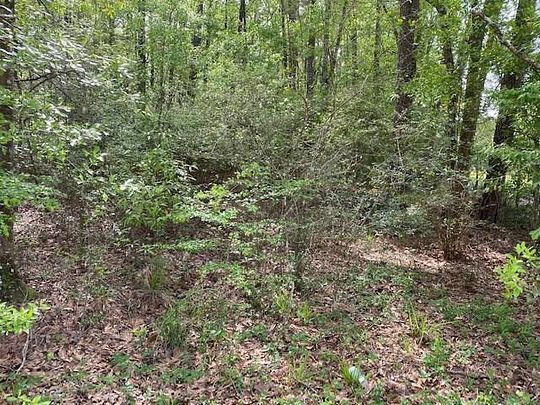 28.3 Acres of Land for Sale in Ponchatoula, Louisiana