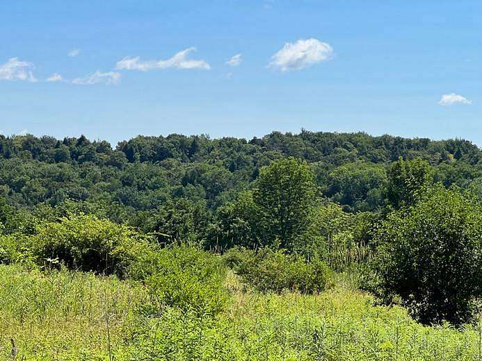 5.2 Acres of Land for Sale in Smyrna, New York