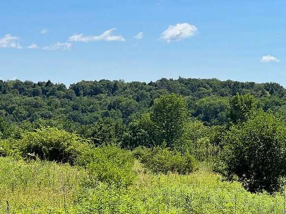 5.2 Acres of Land for Sale in Smyrna, New York