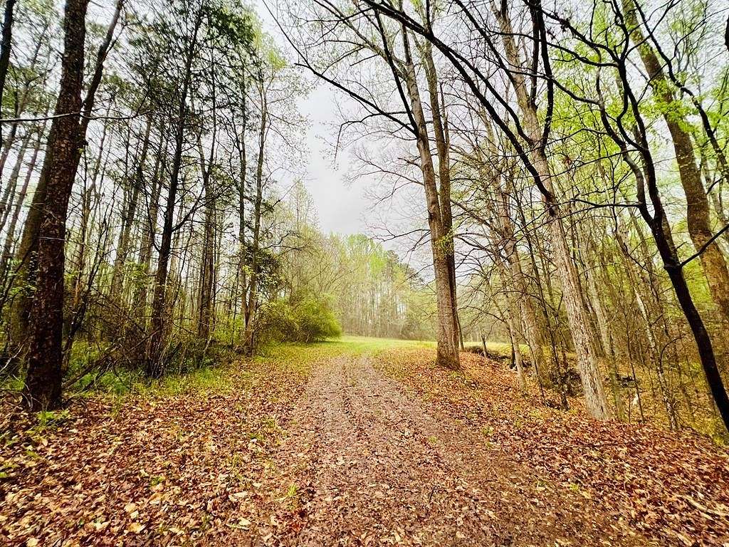 7.17 Acres of Residential Land for Sale in Abbeville, South Carolina