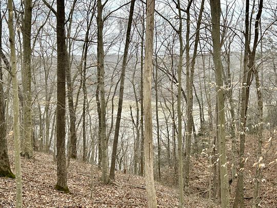 26.5 Acres of Land for Sale in Nancy, Kentucky