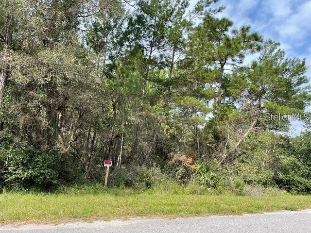 1 Acre of Residential Land for Sale in Eustis, Florida
