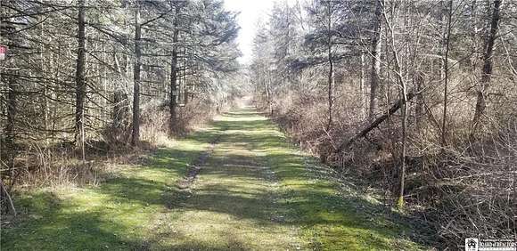 0.87 Acres of Residential Land for Sale in Leon, New York