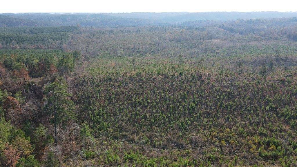 50.1 Acres of Land for Sale in Gillham, Arkansas