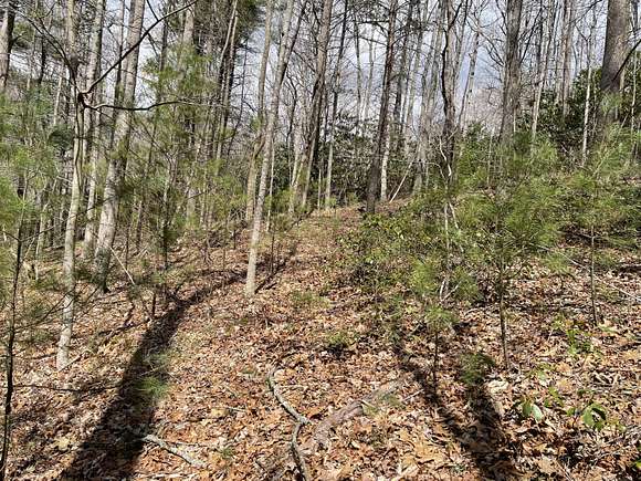3 Acres of Land for Sale in Butler, Tennessee