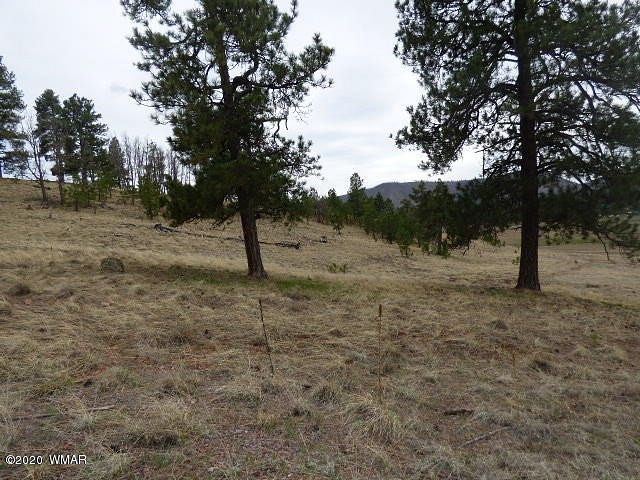 1 Acre of Residential Land for Sale in Alpine, Arizona