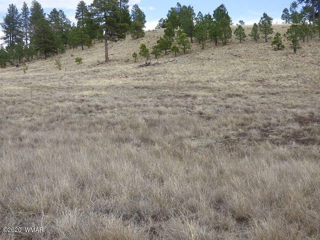 1.8 Acres of Residential Land for Sale in Alpine, Arizona