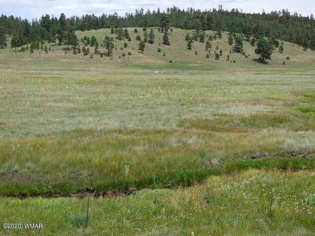 8.2 Acres of Residential Land for Sale in Alpine, Arizona