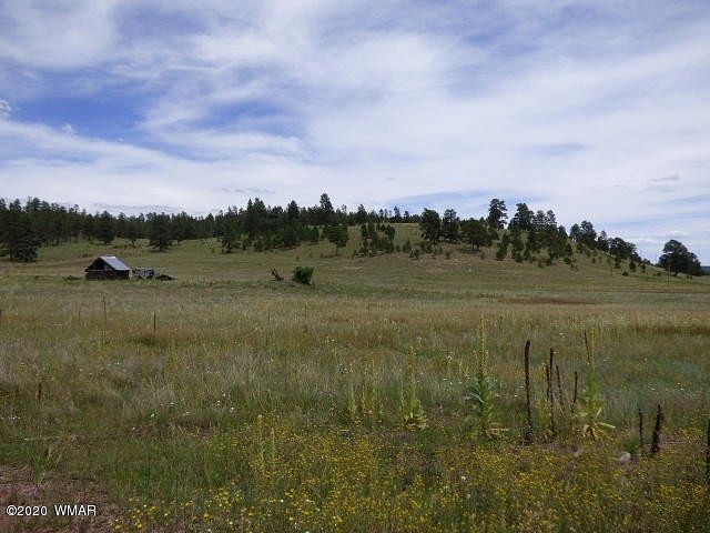 1.3 Acres of Residential Land for Sale in Alpine, Arizona