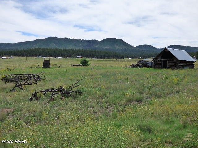 1.9 Acres of Residential Land for Sale in Alpine, Arizona