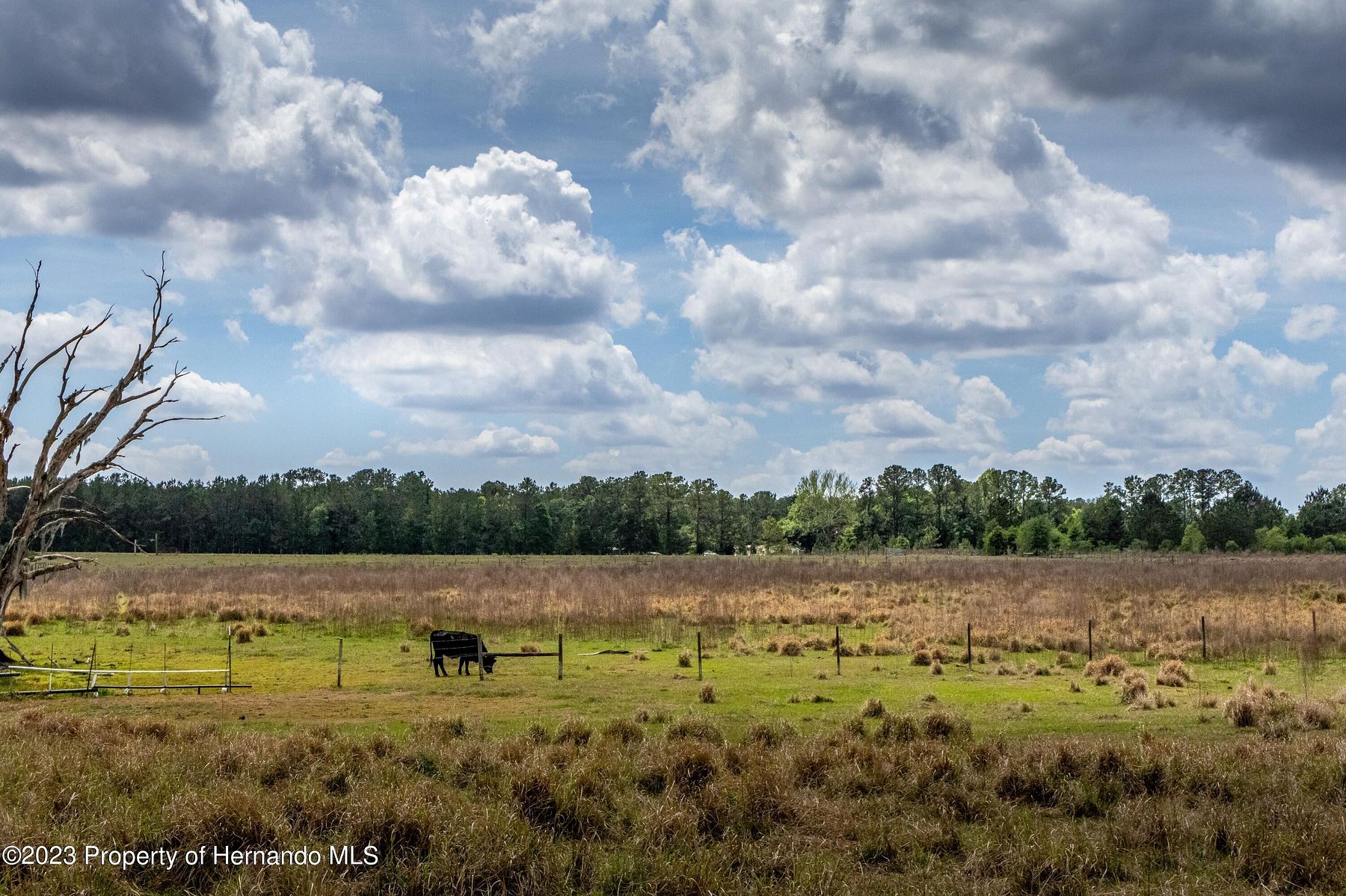 10.2 Acres of Agricultural Land for Sale in Brooksville, Florida