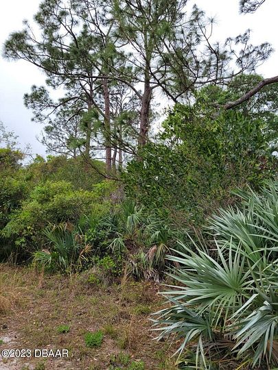 2.5 Acres of Land for Sale in Oak Hill, Florida