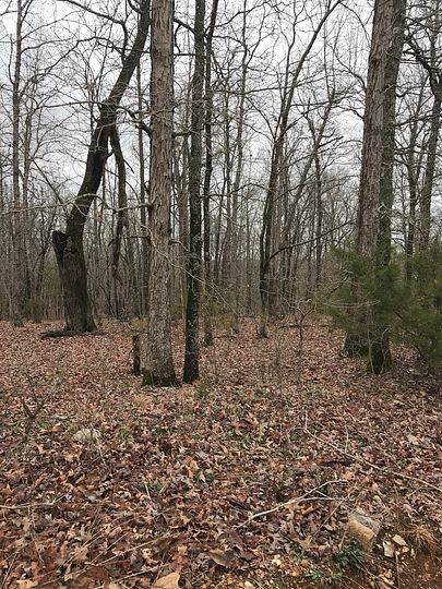 3.8 Acres of Recreational Land for Sale in Hardy, Arkansas