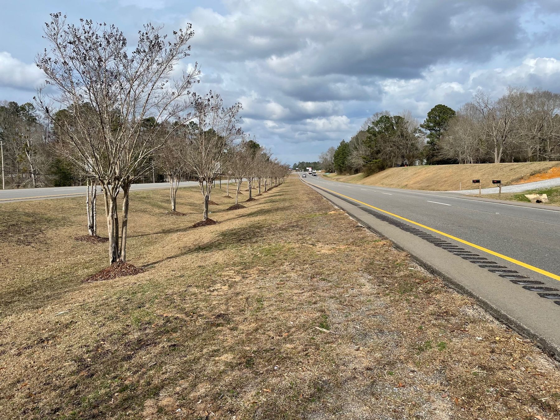 1 Acre of Residential Land for Sale in Thomasville, Alabama