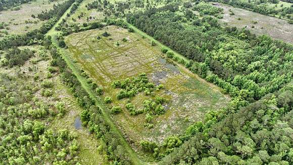 97 Acres of Recreational Land & Farm for Sale in Furman, South Carolina