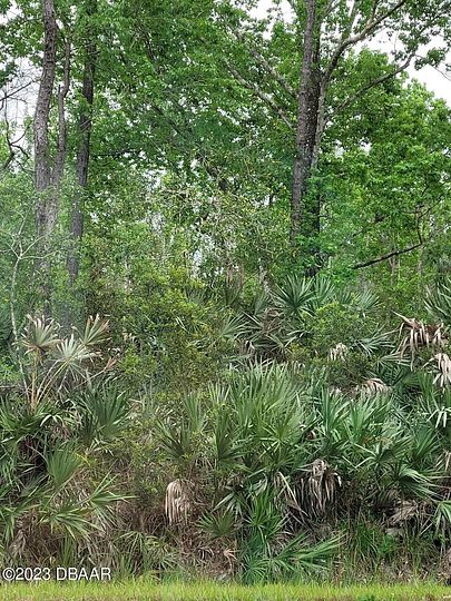 1.3 Acres of Residential Land for Sale in Lake Helen, Florida