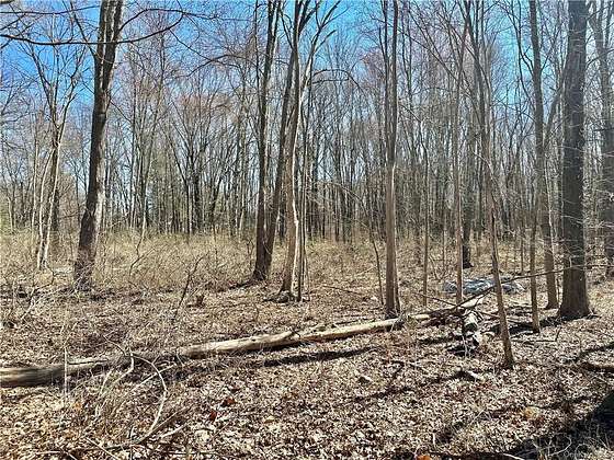 6.1 Acres of Land for Sale in Crawford Town, New York