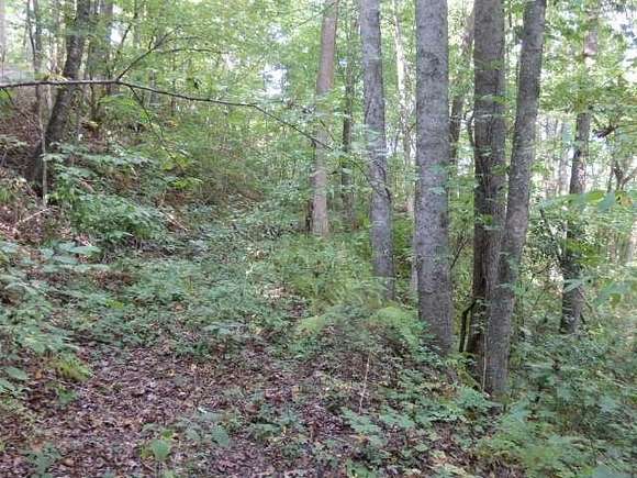 2.6 Acres of Residential Land for Sale in Sylva, North Carolina