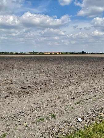 96 Acres of Land for Sale in Elsa, Texas