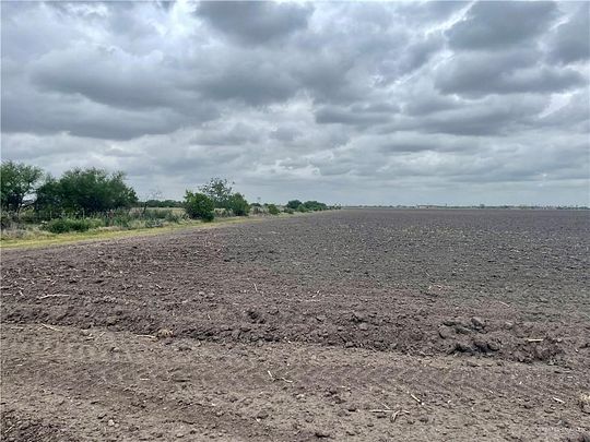 55 Acres of Land for Sale in Elsa, Texas