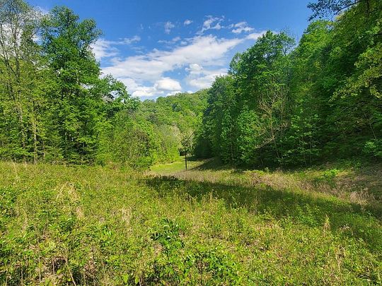 185.6 Acres of Agricultural Land for Sale in Sneedville, Tennessee