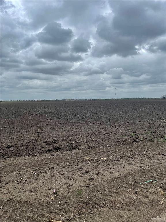 38.7 Acres of Land for Sale in Elsa, Texas