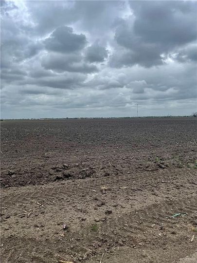 38.7 Acres of Land for Sale in Elsa, Texas