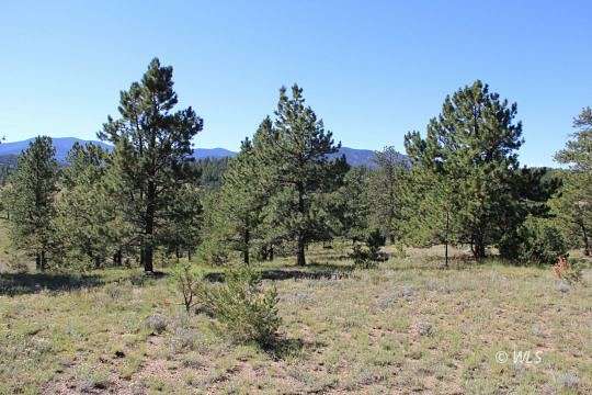 36 Acres of Agricultural Land for Sale in Westcliffe, Colorado