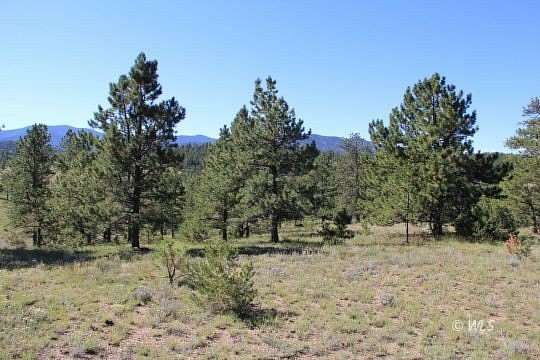 36 Acres of Land for Sale in Westcliffe, Colorado