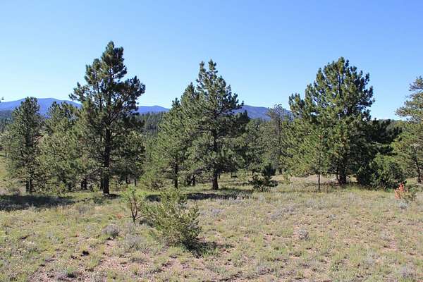 36 Acres of Land for Sale in Westcliffe, Colorado