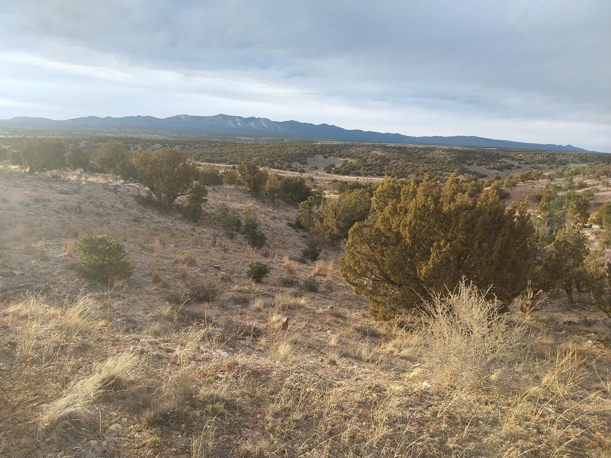11.4 Acres of Land for Sale in Mountainair, New Mexico