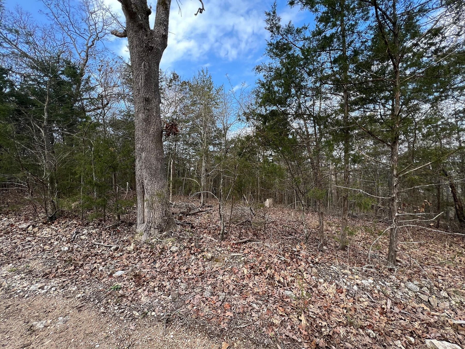 1.2 Acres of Residential Land for Sale in Lead Hill, Arkansas