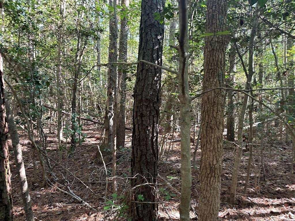 87.8 Acres of Recreational Land for Sale in Wicomico Church, Virginia