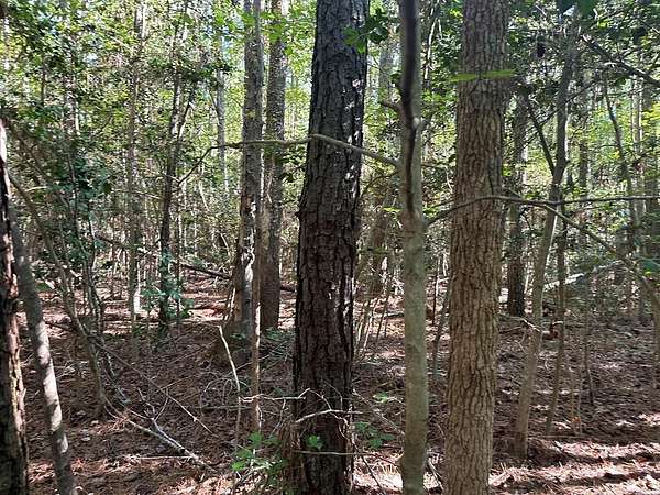 87.8 Acres of Recreational Land for Sale in Wicomico Church, Virginia