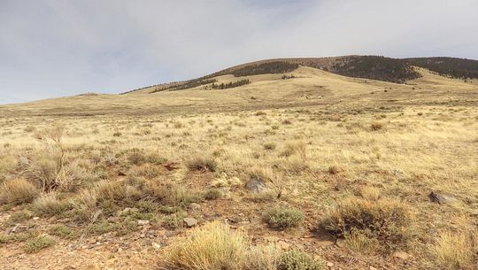 100 Acres of Agricultural Land for Sale in Tres Piedras, New Mexico