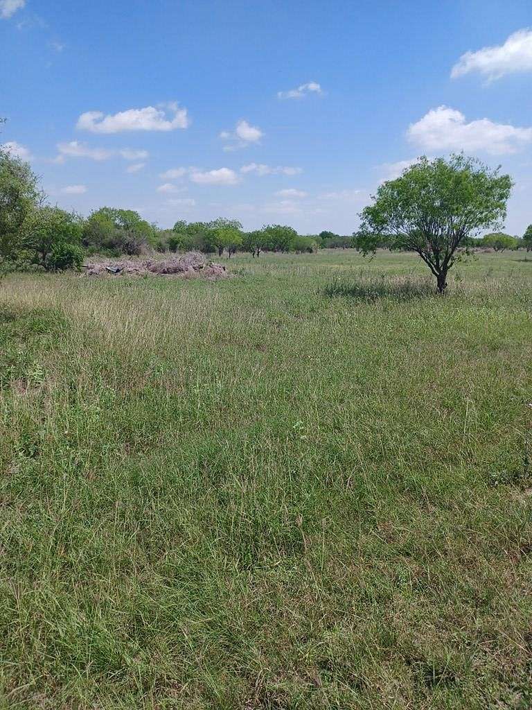 5 Acres of Residential Land for Sale in Skidmore, Texas