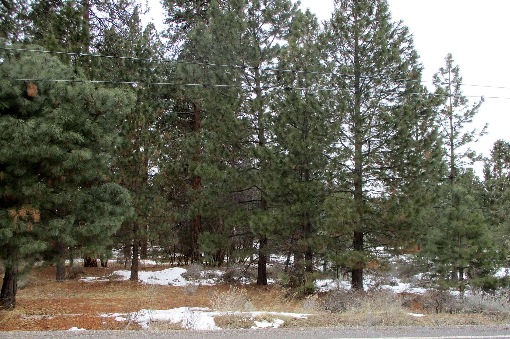 0.25 Acres of Residential Land for Sale in Chiloquin, Oregon